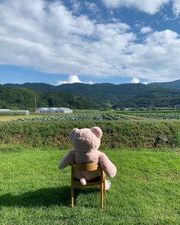 いや〜良い天気だわ〜
あっ
注意してね、これ、今日じゃないけん。
店長のファンがここに集まってしまったら
道路通れなくて地域の方に迷惑かけるし、
道路封鎖の許可証 おまわりさんに出してないけん(`・∀・´)エッヘン!!
こないだは久しぶりに日光浴をしたよ(^○^)
道行く人が、二度見したとかしないとか、、、爆
野村に住んで2ヶ月、
ほんといいところやね。
時間の流れがゆっくりで、
人もあったかくて
ほんでな〜
何よりご飯がうめぇ🍚
これから新米の季節が楽しみすぎる店長でした🐻
#新米楽しみ
#店長新米届くの待ってる
#でも万が一いっぱい届いたら
#食べきれんけん
#10キロずつ送って
#なーんて
