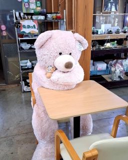 むぎゅ。
くま店長、今日はかわい子ちゃん(🐻)と一緒です。
みんな、店長のこと可愛がってくれて嬉しい(*^▽^*)
ミニ🐻がおでこに貼っているのは?!
もしかしてあれは?!値札??w
いや、冷えピタでしょうw
さて今日も早くも17:00。
店長の仕事は一応17:00までです。
みんな気をつけてお帰り🌟
また明日ね。
#束縛強めの店長
#ハグも命懸け
#今日はここまで
#また明日ね