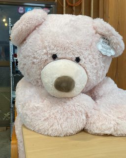 ん?
なんだね?
なんか悩みあろ?
店長に言うてみ?
ちぃと楽になるかもしれんよ。
#店長のお悩み相談室
#占い好きの店長
#もうすぐこの毛がありがたい季節が来る