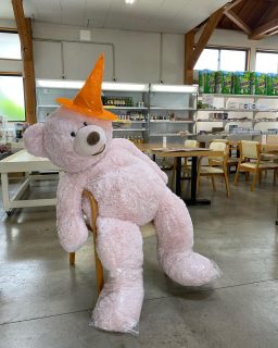 イベント(今週末の文化祭とか♪月末の乙亥とか🥰)のために、
お客様用の席確保をしている百姓百品と、
ちょっとじゃまで追いやられた店長
#誰が邪魔や