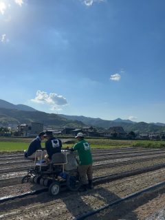🌱ネギの定植シーズン突入🌱

いよいよ朝霧ネギの定植が本格スタート！

機械トラブルも起きますが、職員が整備しながら対応してくれて、なんとか順調に進んでいます😊

そして昨年譲っていただいた移植機も大活躍✨
今年は2台体制で、どんどん定植が進んでいます🚜🚜

これから暑さとの戦いになりますが、美味しいネギをお届けできるよう頑張ります💪

収穫の頃をお楽しみに😊

#ノムランド
#朝霧ネギ
#ネギ農家
#定植作業
#農業