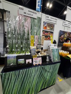 1年ぶりに、**大型商談会「フードスタイル九州」**に出展しています!
ネギの本場・九州ということで少しドキドキしていましたが…
想像以上にたくさんのお客様に興味を持っていただき
本当に嬉しいです🙇✨
今回からブース装飾もパワーアップ✨
事前に模擬ブースも作っての準備万端🤲🏻
朝霧ネギの魅力がより伝わるよう、細部までこだわりました。
ノムランドの世界観しっかり伝えることができてるかな🤭
明日もたくさんの出会いがありますように🥰
本日、お立ち寄りいただいた皆様ありがとうございました😊